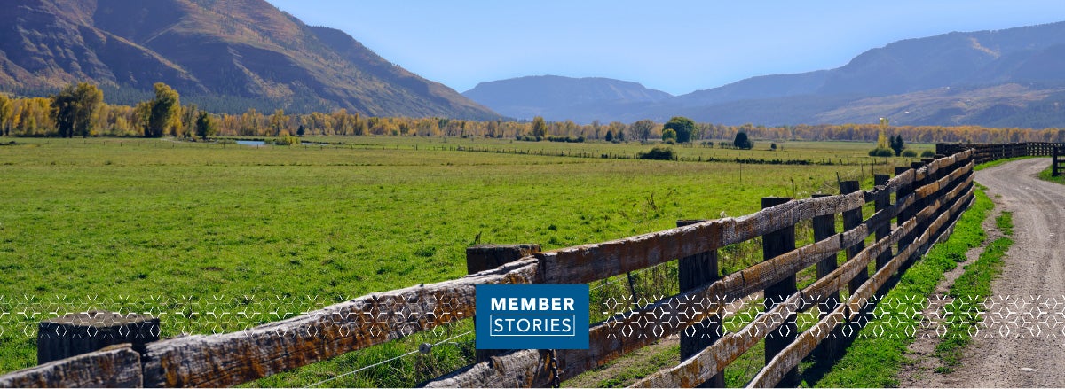 Colorado Ranch Restores their Land Through Regenerative Ranching