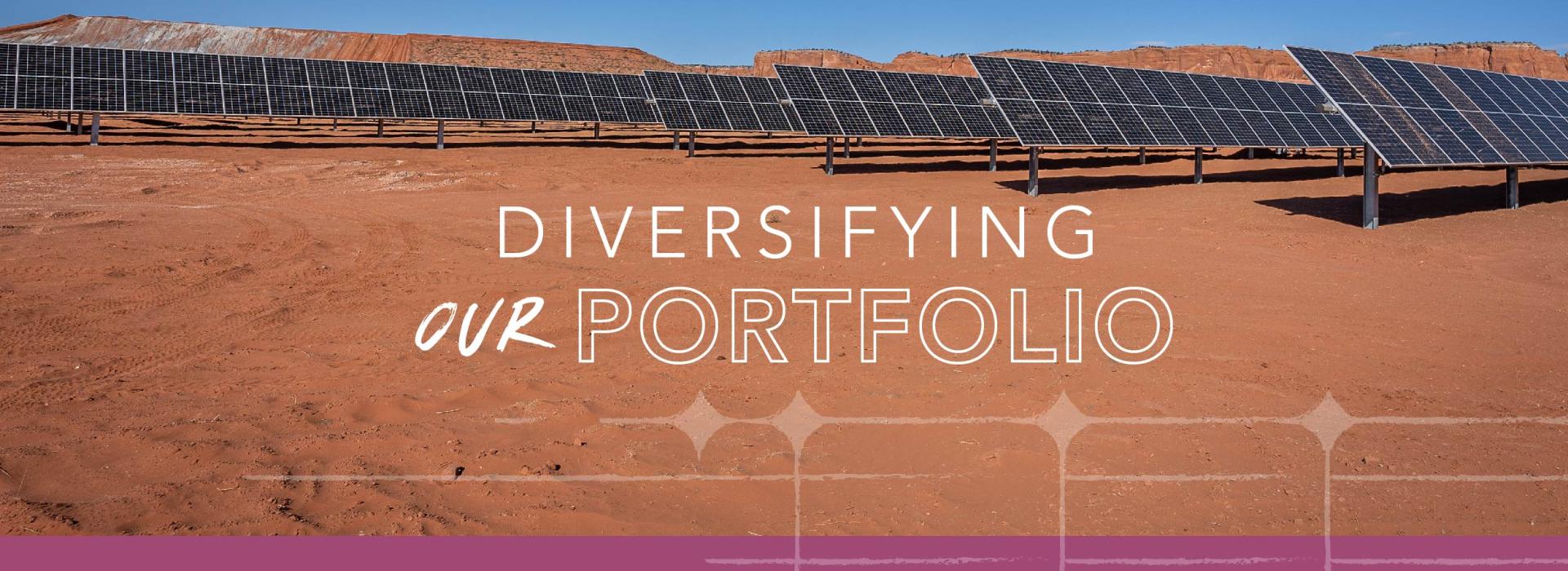 Diversifying our portfolio