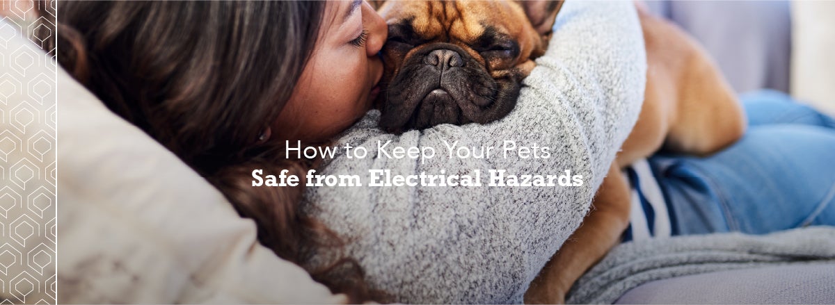 The Best Ways to Keep Your Pets Safe from Electrical Hazards