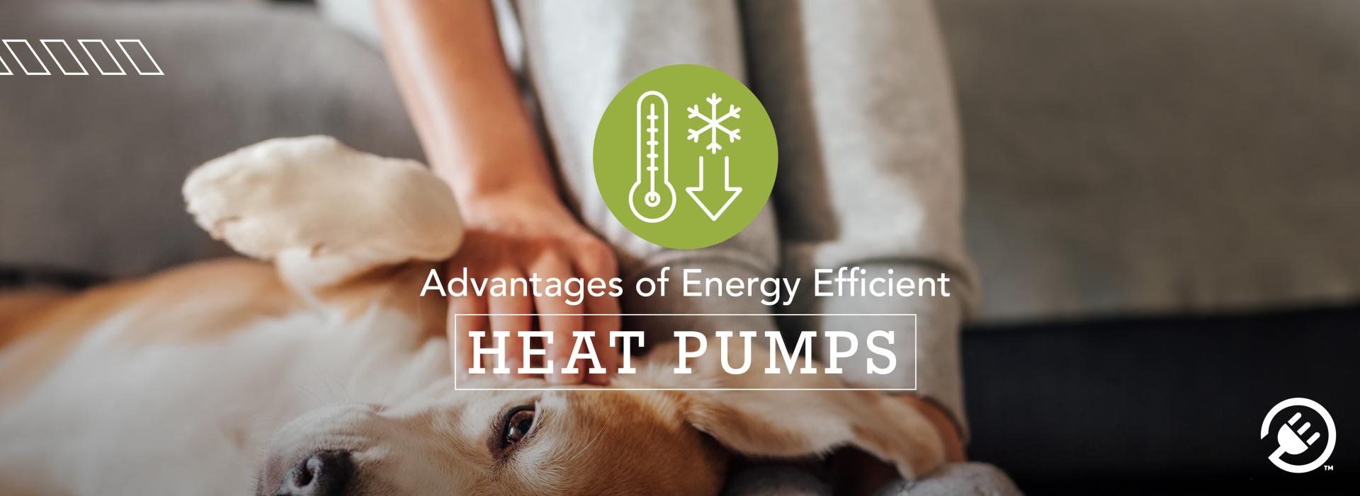 Advantages of heat pumps