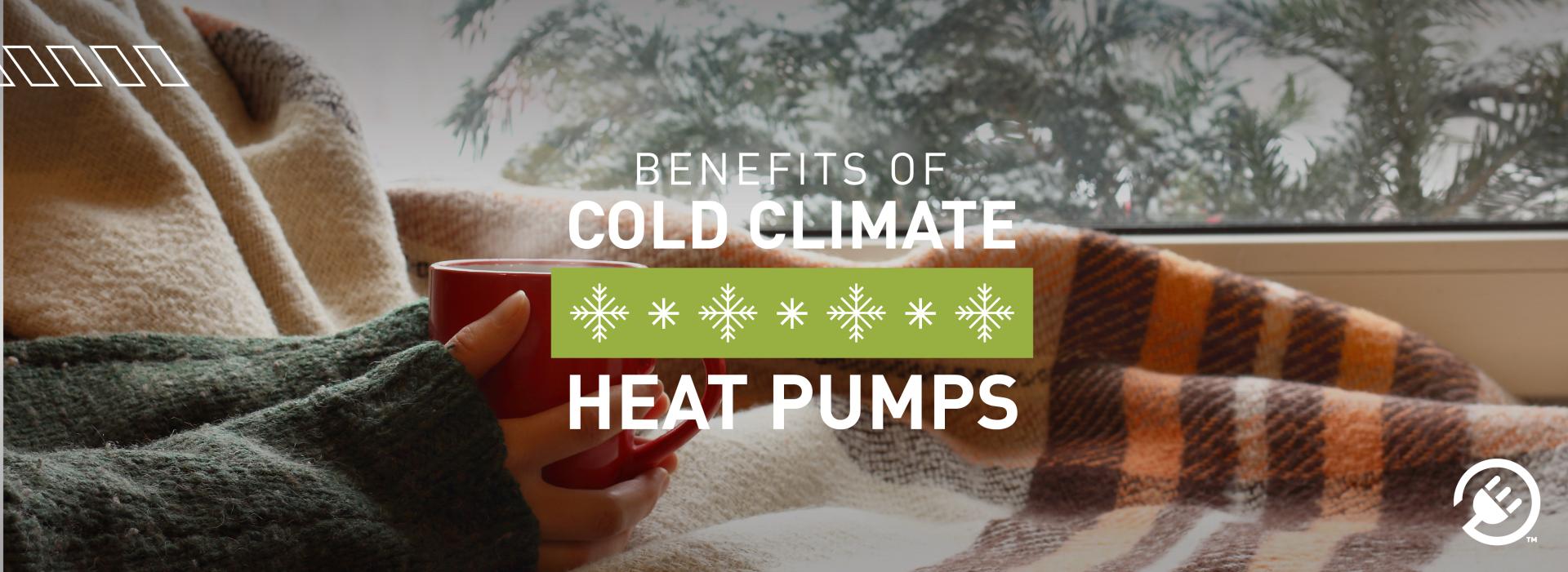The Benefits of Heat Pumps in Cold Climates
