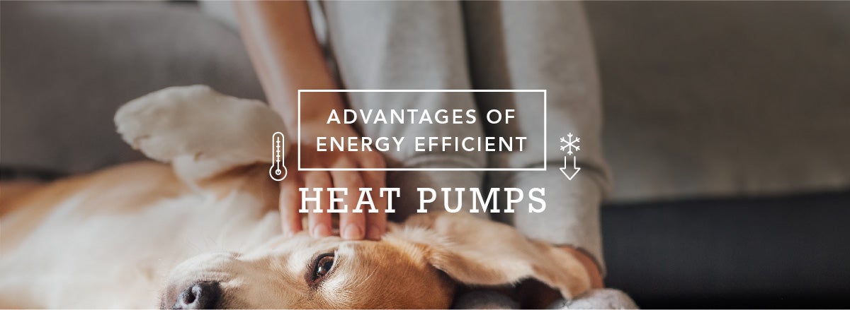 Advantages of Heat Pumps for Energy Efficiency