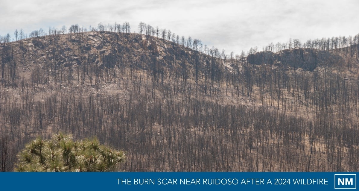 The burn scar near Ruidoso after a 2024 wildfire