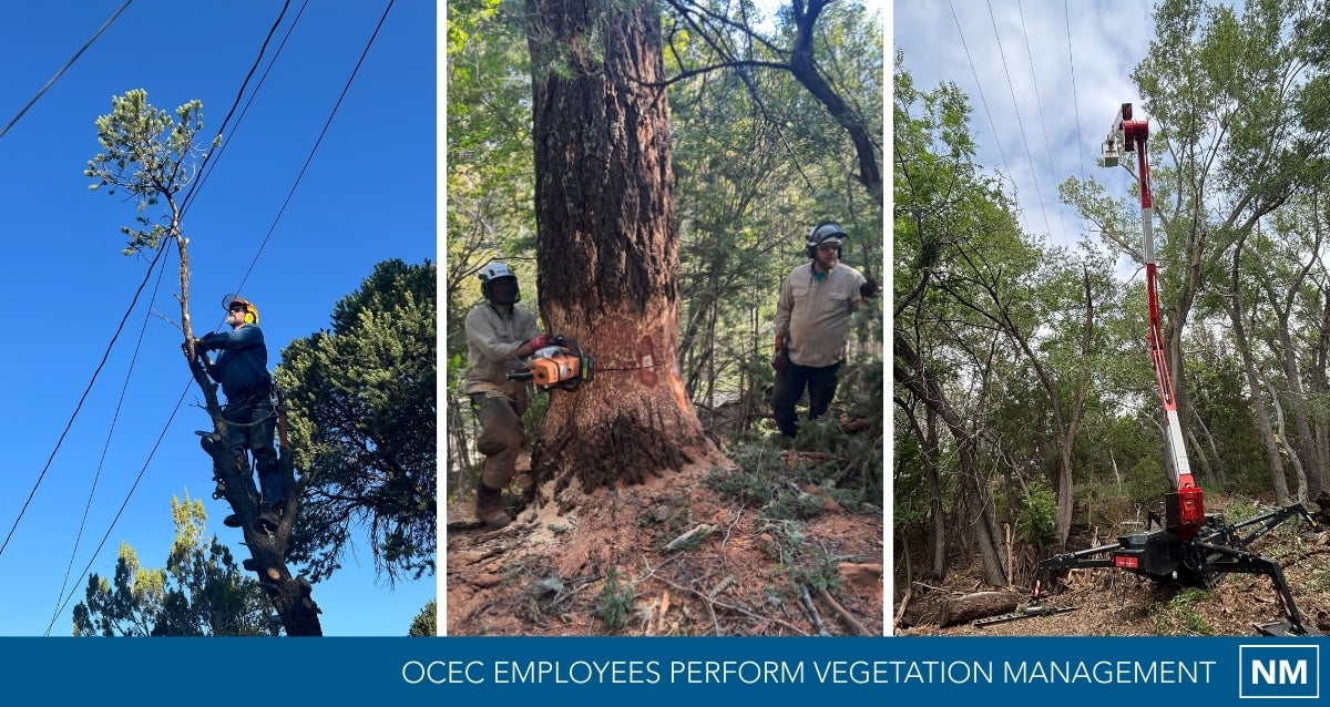 OCEC employees perform vegetation management