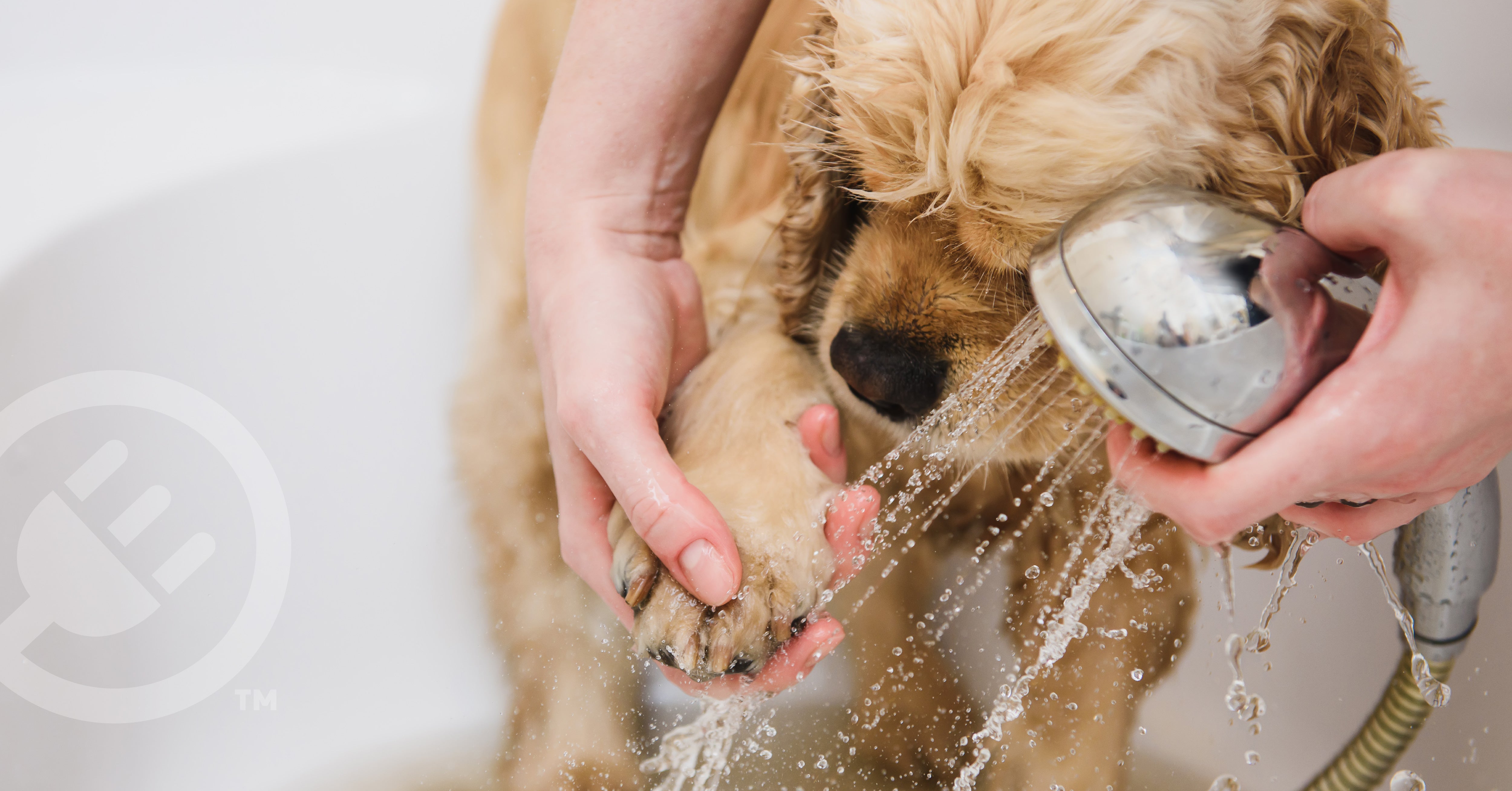 Tankless on demand hot water heater advantages