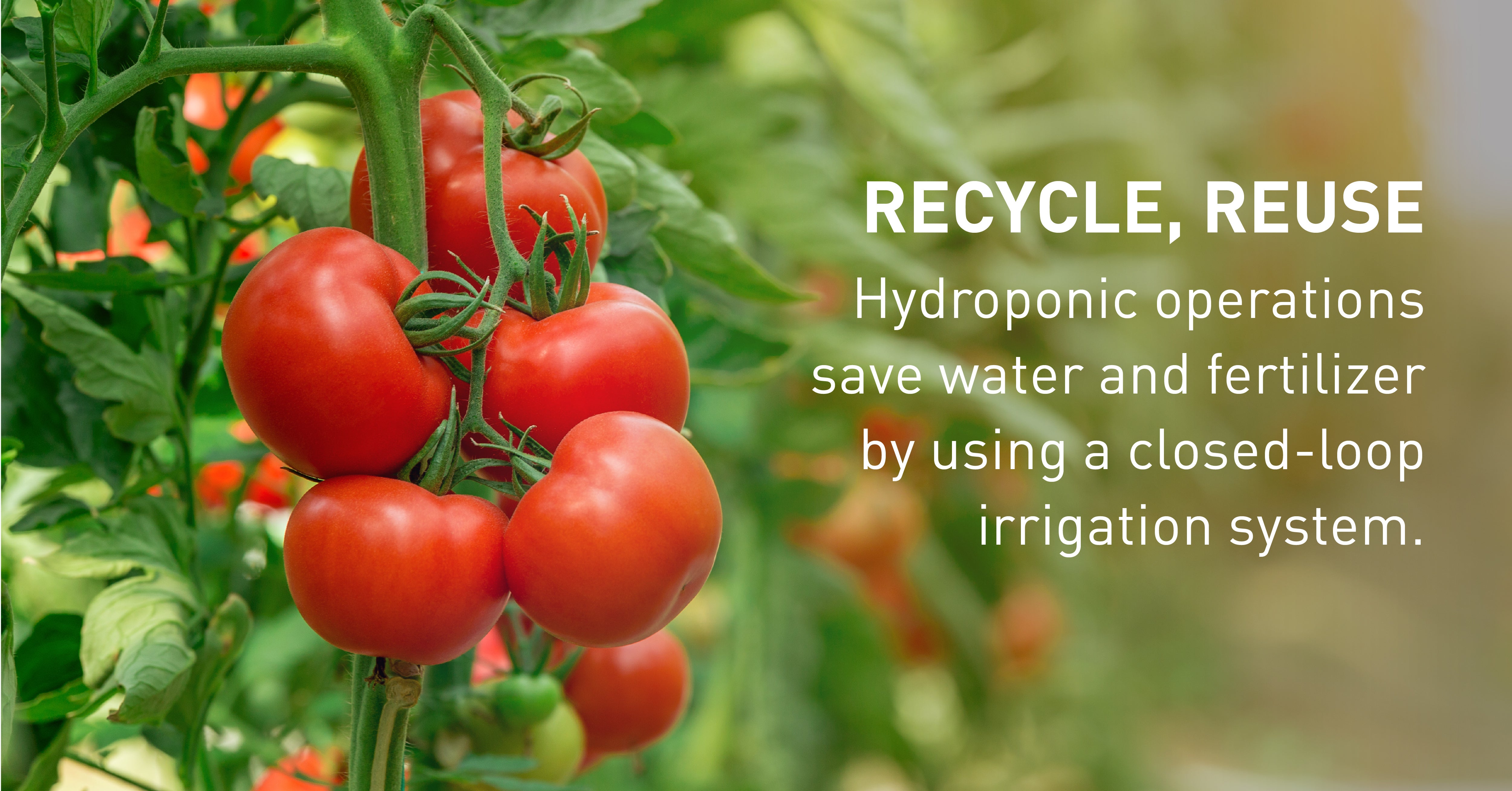 Save water and fertilization