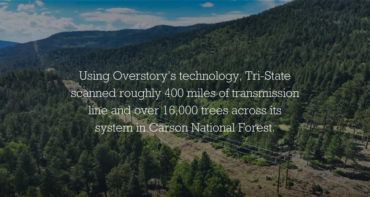 Background of forest with text over top: Using Overstory’s technology, Tri-State scanned roughly 400 miles of transmission line and over 16,000 trees across its system in Carson National Forest