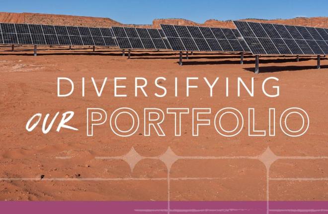 Diversifying our portfolio
