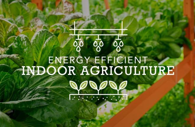 Energy Efficient Indoor Agriculture: Growing More with Less