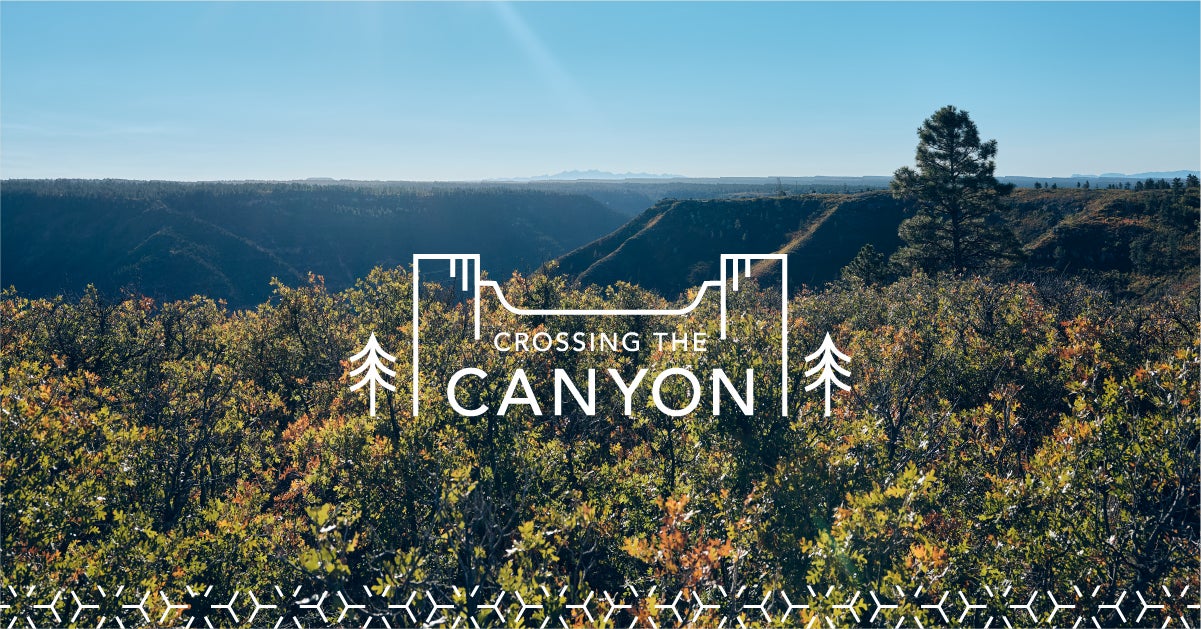 Montrose-Nucla-Cahone Transmission Project