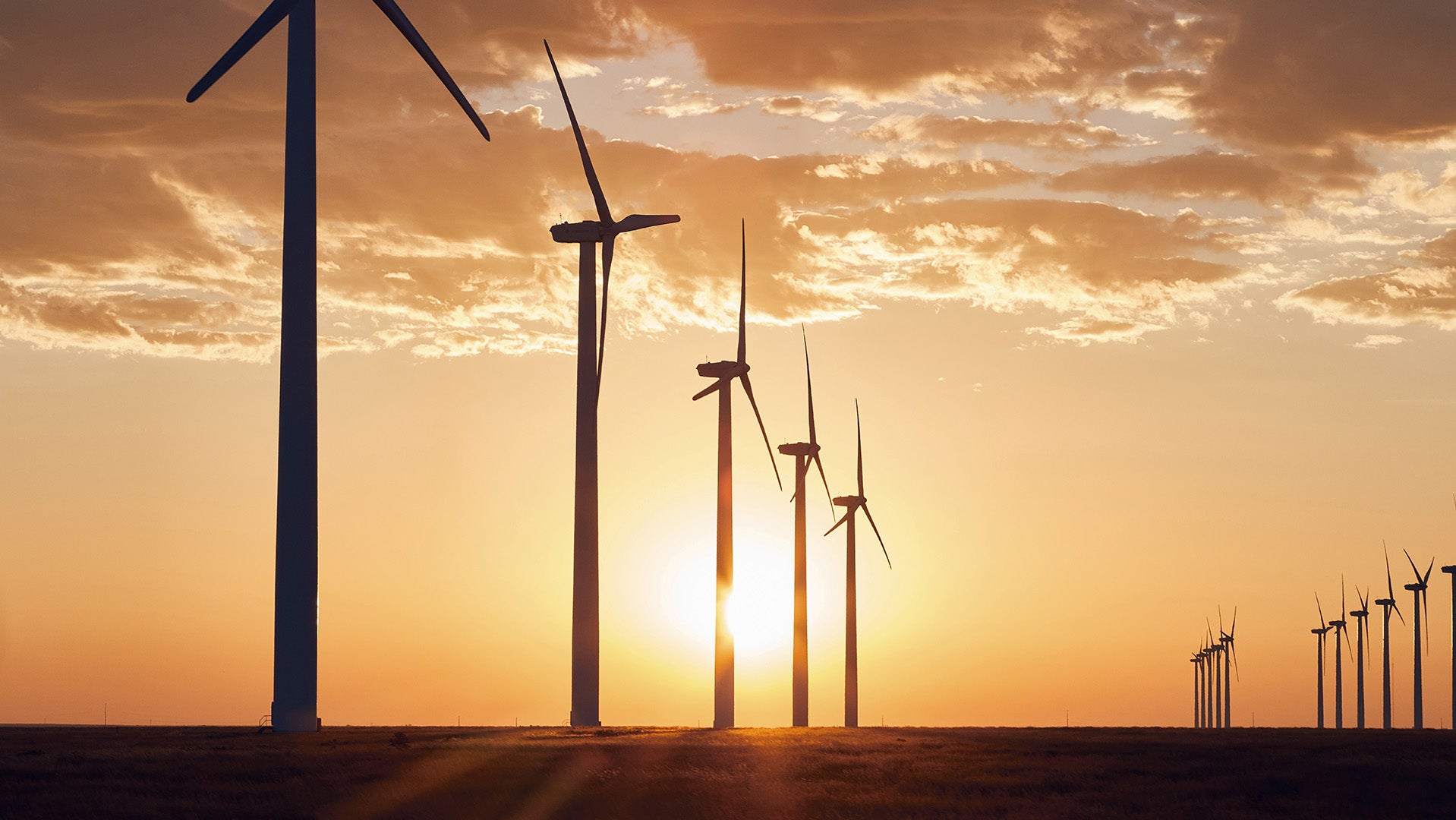 Wind farm at sunset