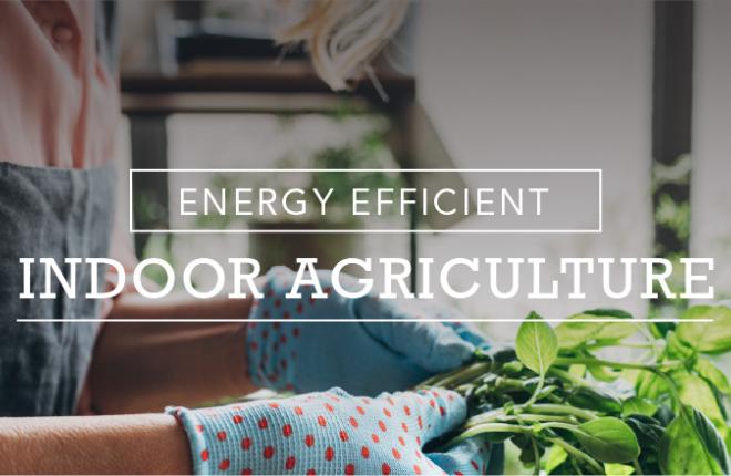 Energy Efficient Indoor Agriculture: Growing More with Less