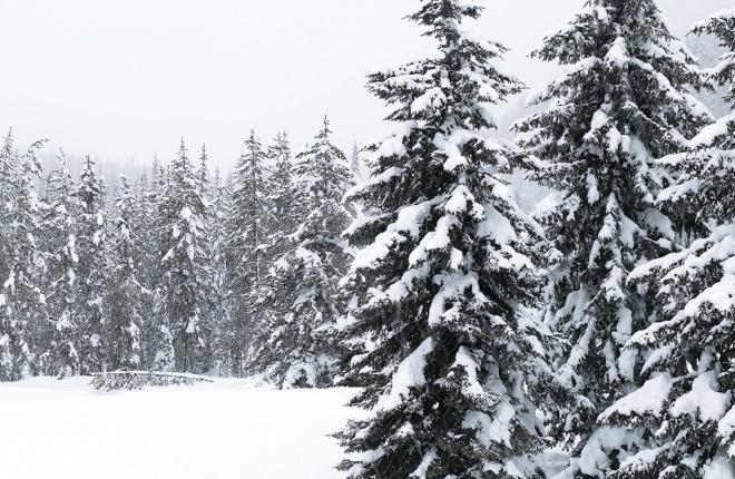 Snow blizzard